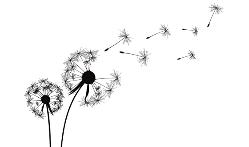 Bundesbruder Seni verstorben